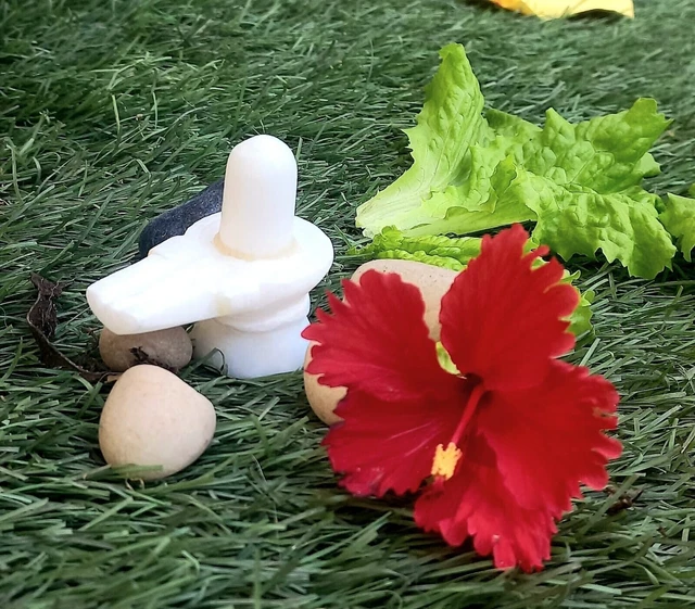 Bungalow Rose Vrisha-Vahana Shiva En Laiton | Fait à La Main | Fabriqué En Inde - Canada