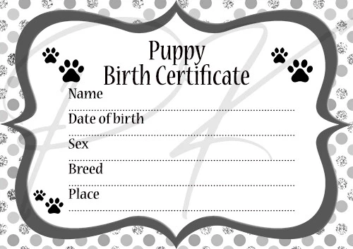 Professional 5-Generation Pedigree Certificate For Cat Breeders - Printed On Premium Paper, Pack Of 6