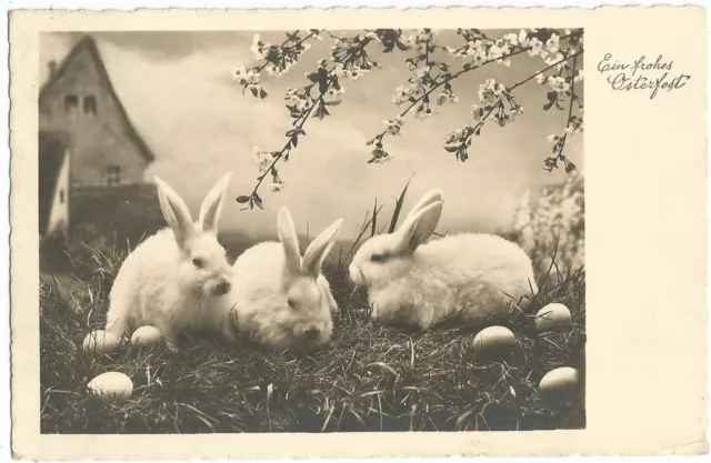 Ostern, Hase, Osterhase, alte Foto-Ak von 1938