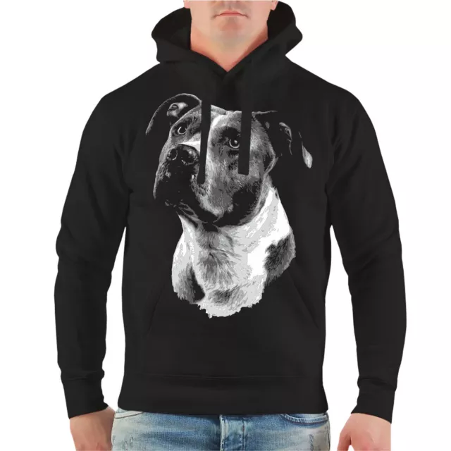 Kapuzenpullover Hoodie American Staffordshire Terrier rasse hunde halter dogs