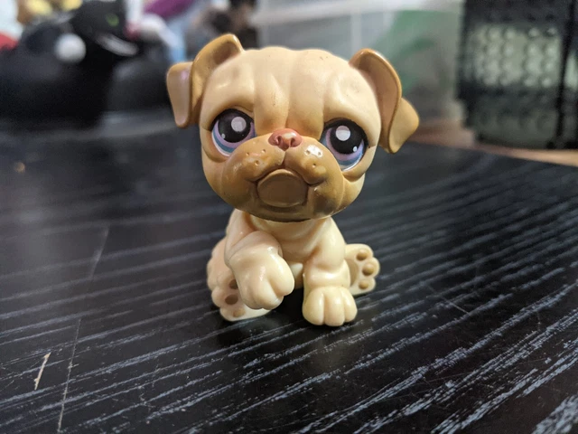 Littlest Pet Shop LPS #135 Tan English Bulldog Blue Eyes