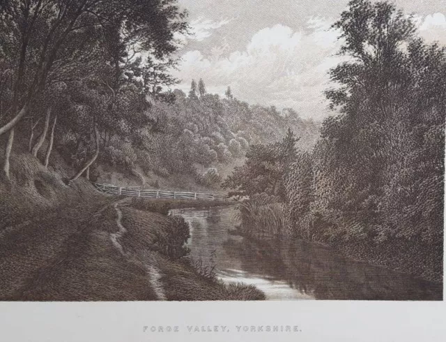 1895 Forge Valley, Yorkshire print. Antique. For framing. River Derwent.