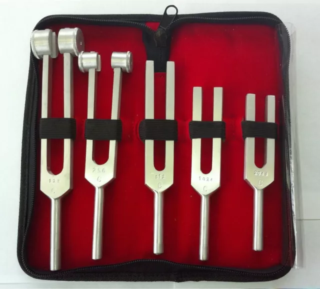 Lot de 5 diapasches - instruments de diagnostic chirurgical médical + étui de transport