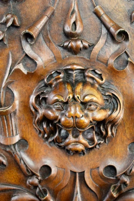 French Antique Hand Carved Wood Cupboard / Closet Door - Lion head - 19th 4