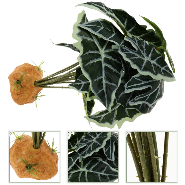 Scala Di Corda Per Granchi Eremita E Rettili - Giocattolo Da Arrampicata In Iuta Naturale, Beige - Foto 9