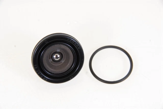 54832066000 Husqvarna Husaberg KTM Brembo Cilindro Dipendente Riparazione Set