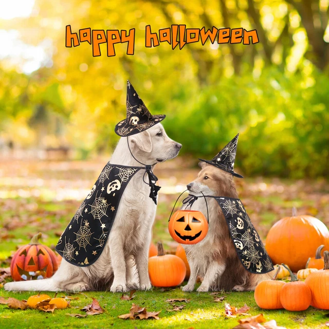 Set costume Halloween Cane Gatto Cappello Strega Cappelli Hooey regalo per animali domestici 2