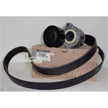 Galet Tendeur Courroie Accessoire 6Pk1199 117203694R Renault Megane 2 1.5 Dci...