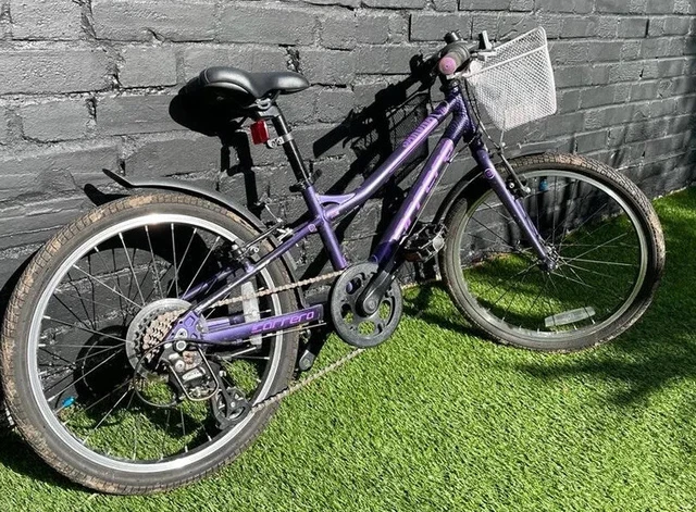 carrera 20 inch frame