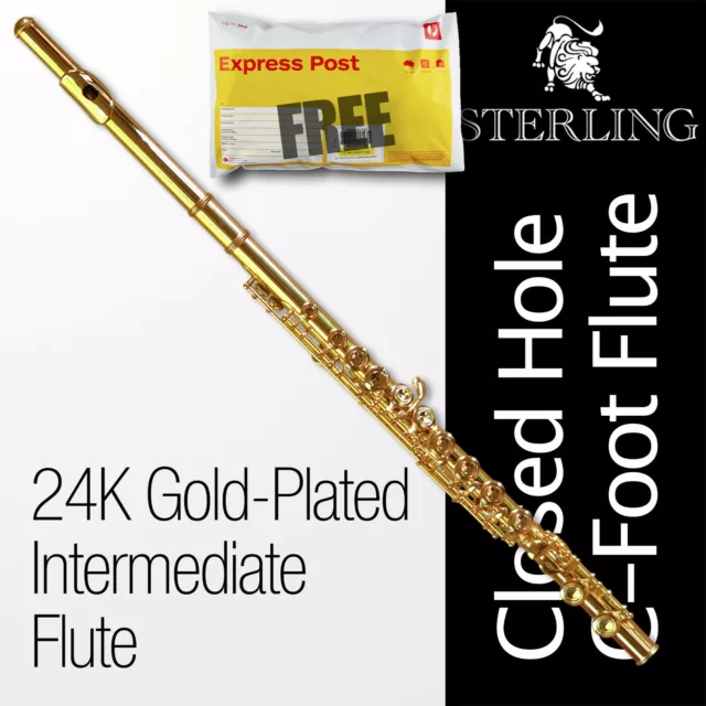 STERLING FLUTE • 24k Gold-Plated 16 Keys •  C-Foot Split-E  • BRAND NEW • Case •