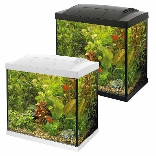 SuperFish Start Aquarium 30 50 70 Tropical Glass Fish Tank Kit Black or White 3