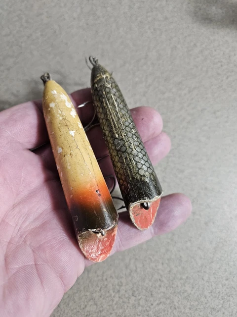 Pesca Al Cefalo Con La Bolognese: La Guida Pratica