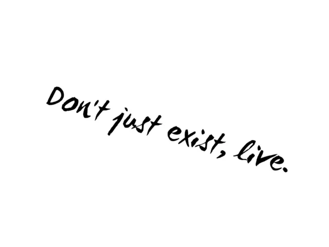 Don't Just Exist, Live. Car Vinyl Sticker Home Laptop Motivational Cool Quotes