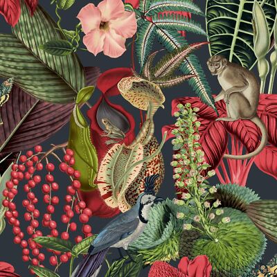 Grandeco foresta amazzonica animali esotici Fiori Carta Da Parati-Nero/Rosso JF2201 