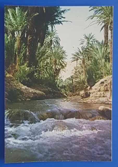 Postkarte AK  Todgha-Tal Marokko Nordafrika um 1995