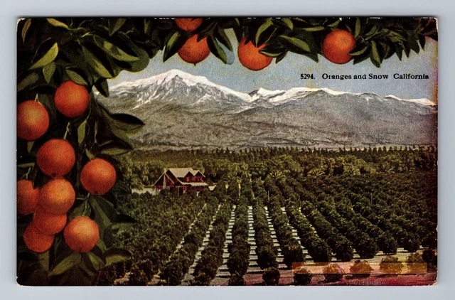 CA- California, Oranges And Snow, Aerial Scenic View, Vintage Postcard
