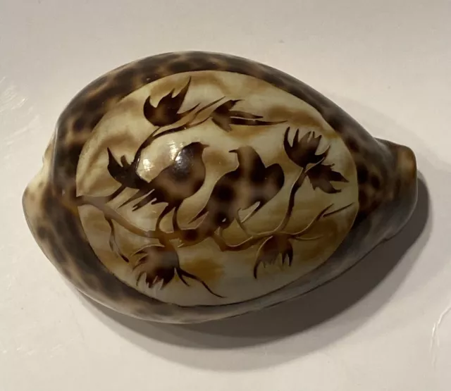 Vintage Seashell Tiger Cowrie Shell Polished Carved Birds on a Branch  3”long