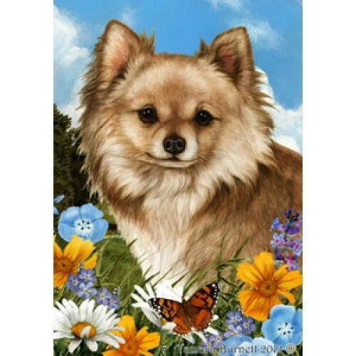 Summer Garden Flag - Longhaired Chihuahua 181451