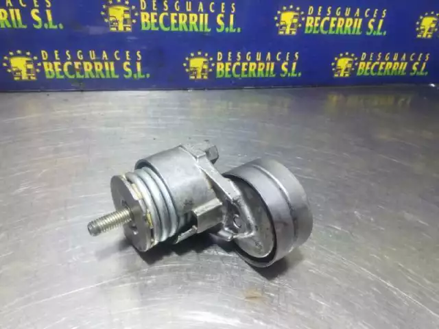 117507271R galet tendeur pour RENAULT LAGUNA II 1.9 DCI (BG08 BG0G) 2627 932779
