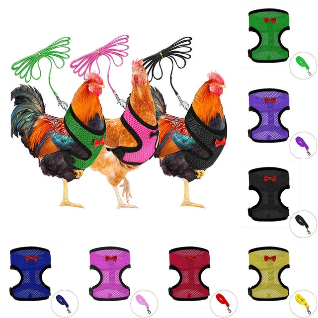Harnais Avec Laisse Pour Poule (taille S, Rose) - Réglable, Respirant, Pour Poules, Canards, Petits Animaux