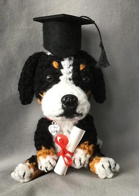 Bernese Mountain Dog Wearing A Mortarboard Cap And Holding A Diploma