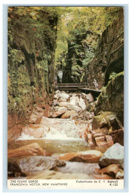 c1950's The Flume Bridge Gorge Franconia Notch New Hampshire NH Vintage Postcard