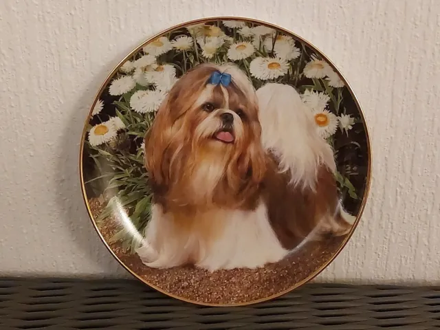 DANBURY MINT Ltd ed SHIH TZUS Dog Plate 'PICTURE PERFECT' *SUPPORTS NURSING