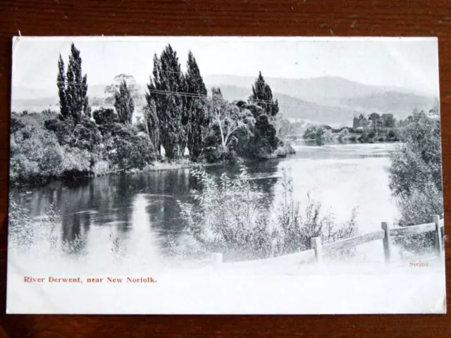 Carte Postale Ancienne Tasmania River Derwent, Near New Norfolk Vintage Postcard