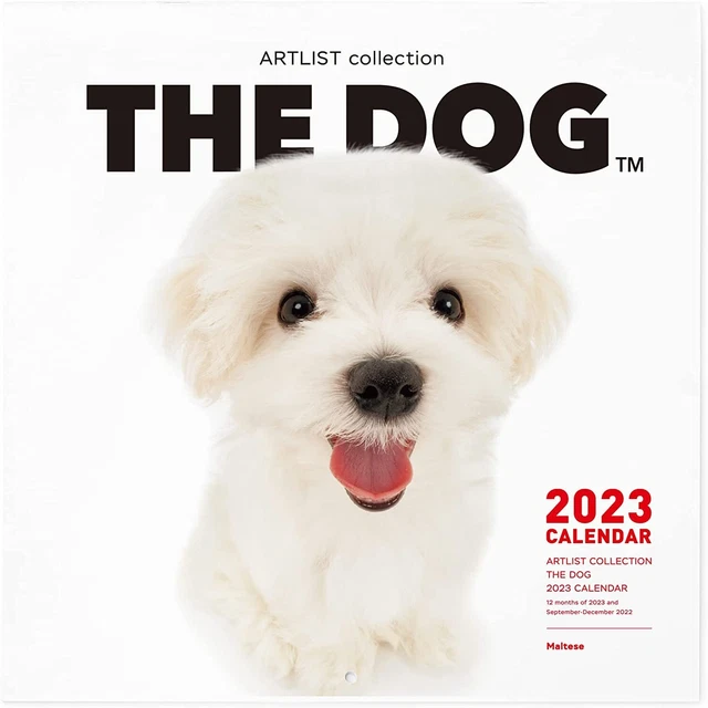 Maltese Wall Calendar 2022 FOR SALE! PicClick UK