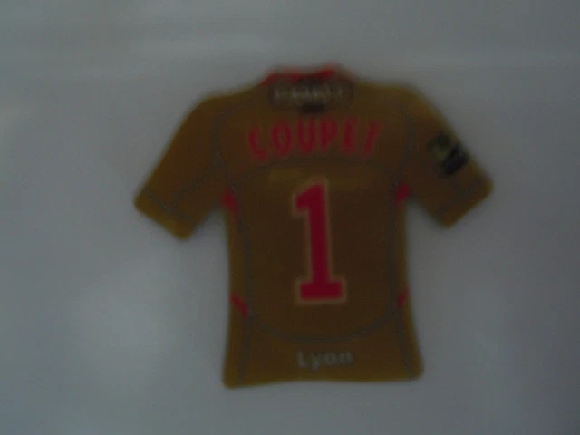 MAGNETS JUST FOOT 2009 Saison LIGUE 1 de 2008-2009