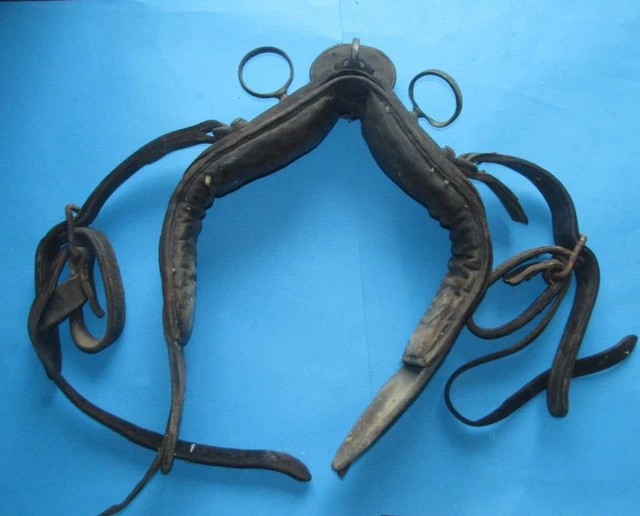 Pony, Noir: Harnais de collier pour harnais de portage