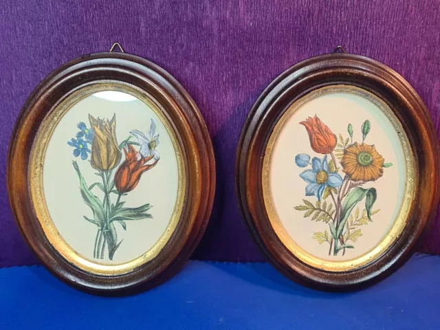 Pair Miniature Hand Coloured Prints Still Life Flowers Florence Wood Frames