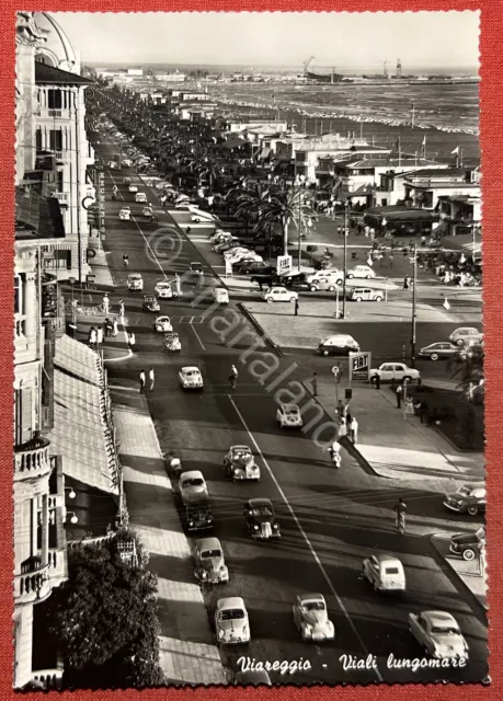 Cartolina - Viareggio ( Lucca ) - Viali Lungomare - 1960