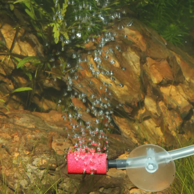 JBL ProSilent Aeras Micro S3 - pompe à air pompe d'aquarium émetteur d'échappement en bois 3