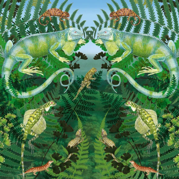 Indian chameleon blank art greeting birthday card nat history