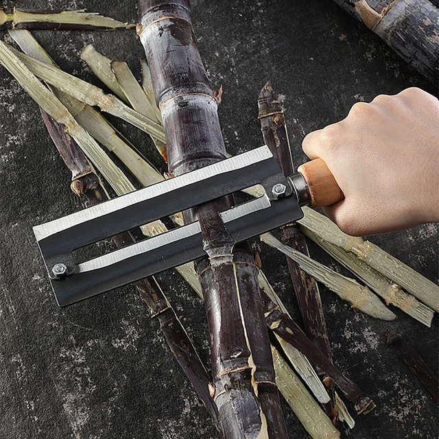 SUGARCANE PEELING KINFE Peeler Carbon Steel Sugar Cane Peeling Cutt UK