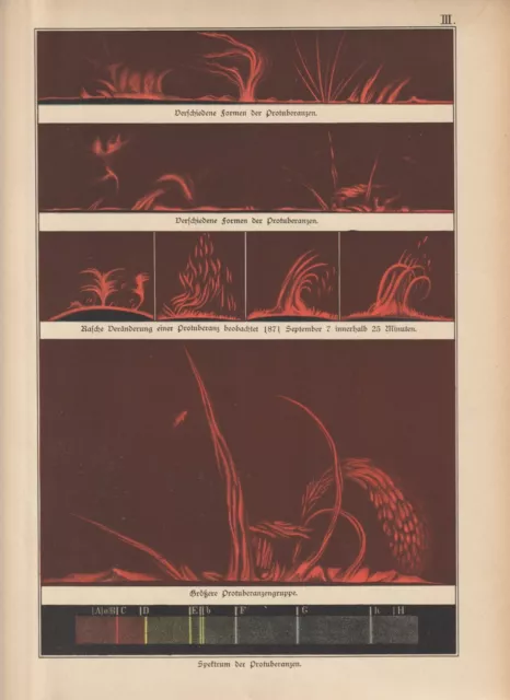 SONNE Formen der Protuberanzen LITHOGRAPHIE von 1892 Astronomie