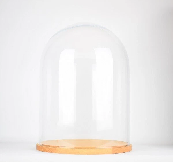 Cloche En Verre Avec Base En Bois - Dôme De Présentation 12x12x18 Cm - Pour Plantes, Figurines, Objets De Collection - Jusqu'à 2 Kg