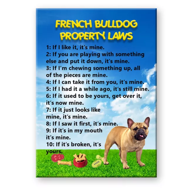 FRENCH BULLDOG Property Laws FRIDGE MAGNET No 3 Funny