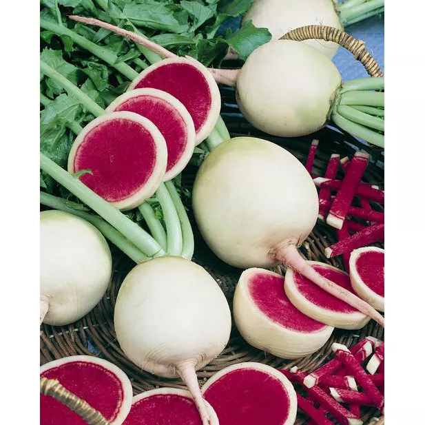 Radish Watermelon Red Meat Winter (50 Seeds)