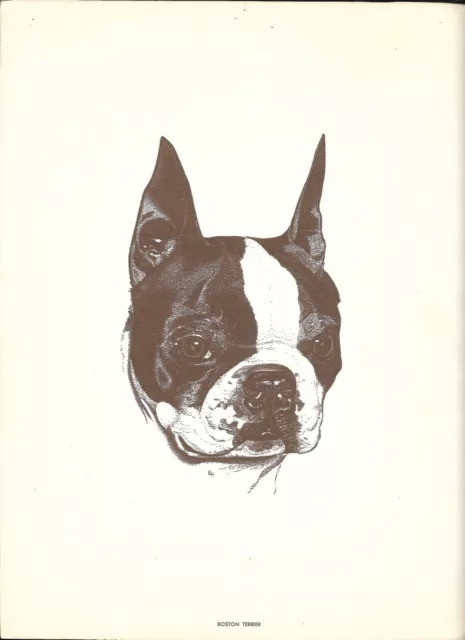 1960s Sepia-Tone Print, Ralston Purina Boston Terrier Dog Portrait Signed EPP 1960s Sepia-Tone Print, Ralston Purina Boston Terrier Dog Portrait Signed EPP