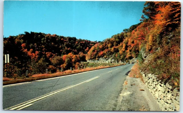 Postcard - Florida Notch, Near Dead Man's Curve, Mohawk Trail, Massachusetts