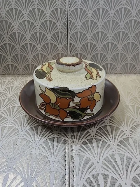 Royal Worcester Palissy Charlotte Butter Cheese Dish & Lid Vintage Retro British