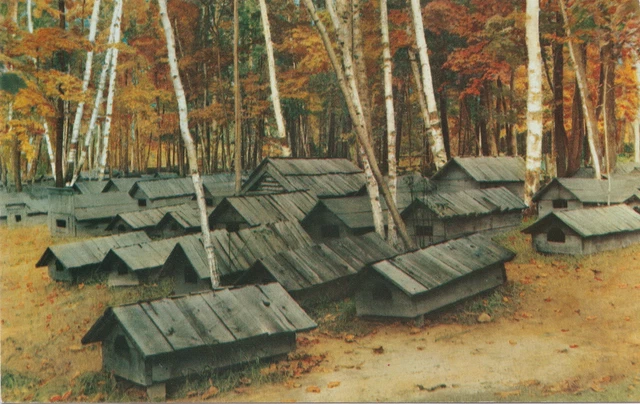 NATIVE AMERICAN RPPC c.1950s Crystal Falls Iron River MI SACRED BURIAL LODGES!!!