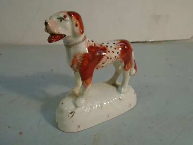 Unusual Antique Staffordshire  Figure Of A Dog England L@@K