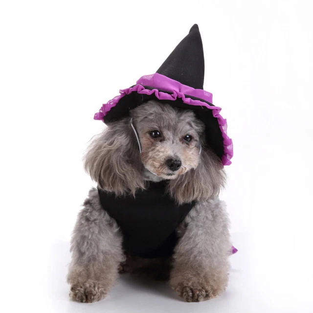 Costume per animali domestici Halloween tuta per gatti Halloween tuta per animali domestici calcio