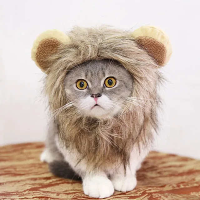 Parrucca giocattolo gatto cappello leone regolabile accessori decorativi caldi (marrone scuro 28 cm)