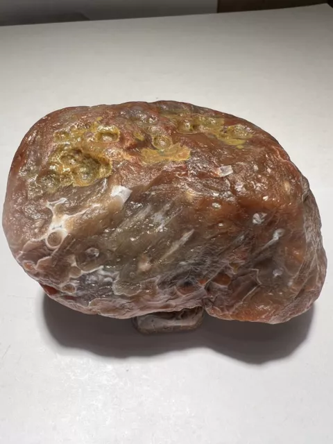 Huge 8.18oz. Lake Superior Agate, Colorful Tube Agate