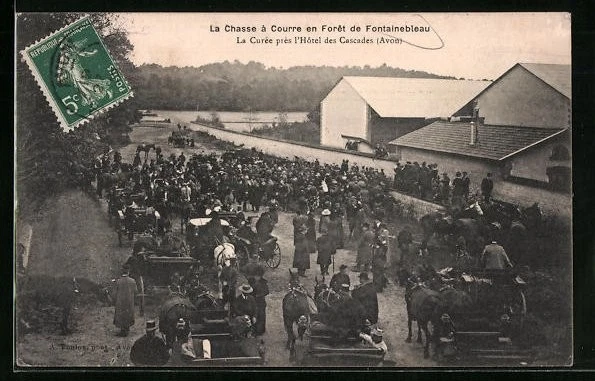 Chasse - CHASSE A COURRE EN FORET DE FONTAINEBLEAU SEINE ET MARNE LA Rentree Au Chenil 1903 Precurseur Tbe 1766825434
