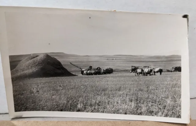Antique Photo Threshing Machine Scene Steam Tractor Horses Wagon Farming Harvest